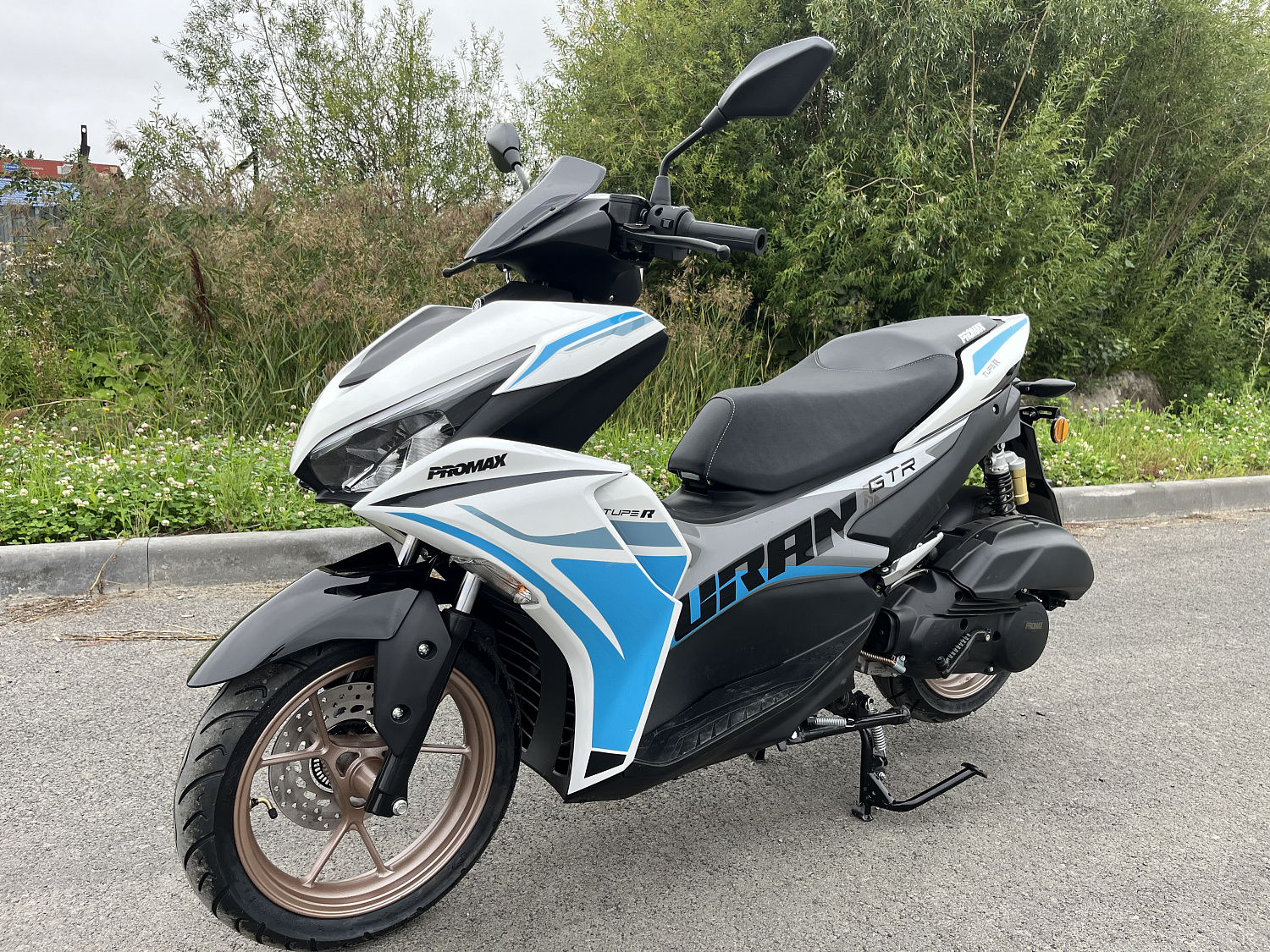 Скутер PROMAX TURAN 250 (49) в Арзамасе