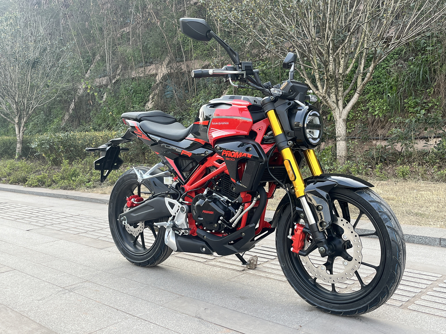 Мотоцикл PROMAX CB300 в Арзамасе