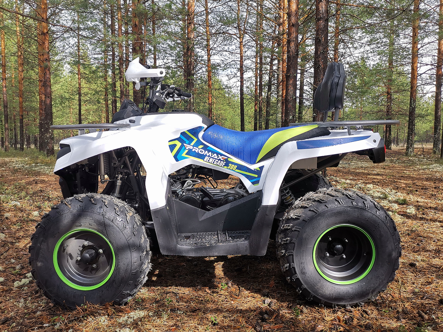 Квадроцикл PROMAX RENEGADE 280 (2025) в Арзамасе