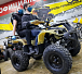 Квадроцикл PROMAX ATV 250 (2025) в Арзамасе