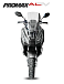 МаксиСкутер PROMAX-HONDA ADV 150 (49) (Inspired by HONDA) в Арзамасе
