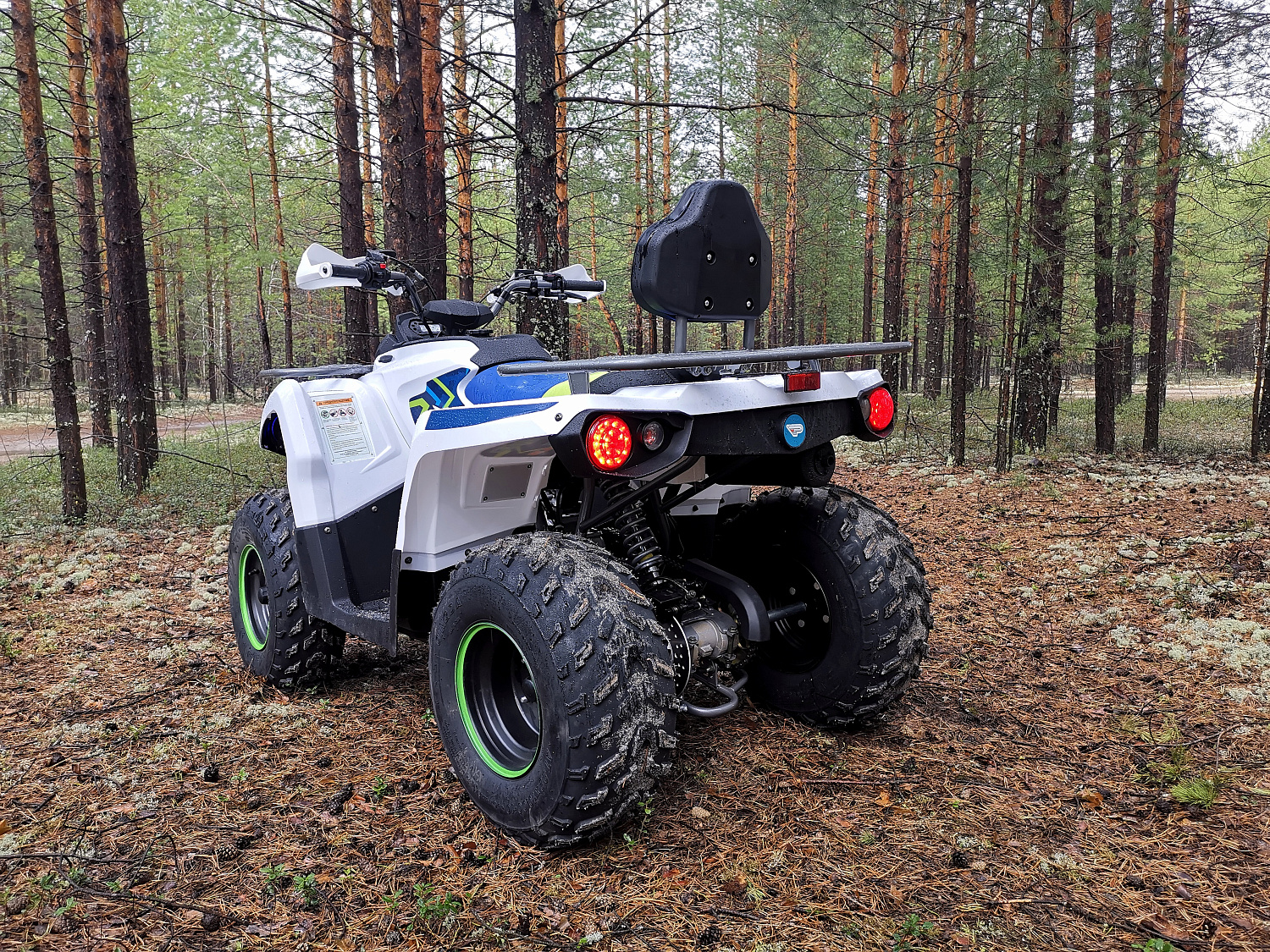 Квадроцикл PROMAX RENEGADE 280 (2025) в Арзамасе