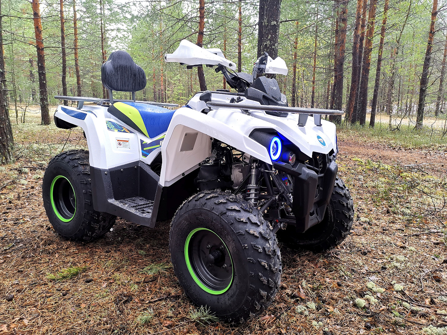 Квадроцикл PROMAX RENEGADE 280 (2025) в Арзамасе