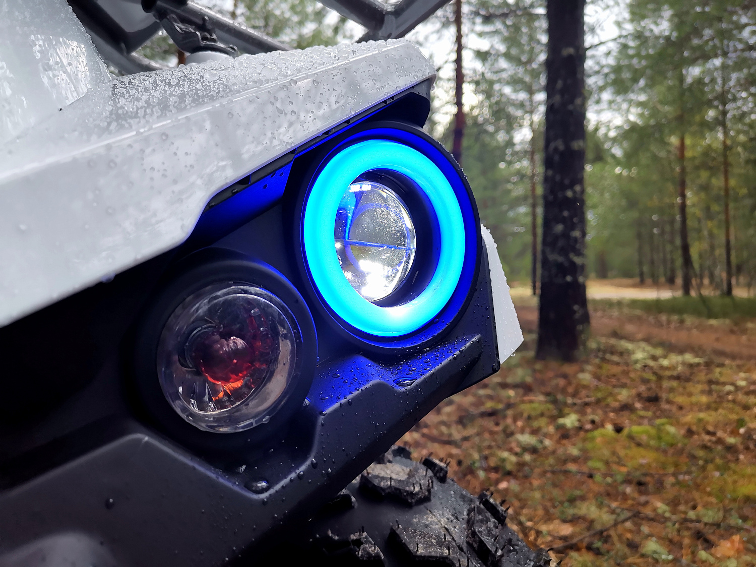 Квадроцикл PROMAX RENEGADE 280 (2025) в Арзамасе