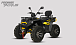 Квадроцикл PROMAX TAURUS 300 MAX-PRO LONG в Арзамасе